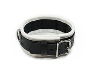 Dog Collar Role Playing Prop