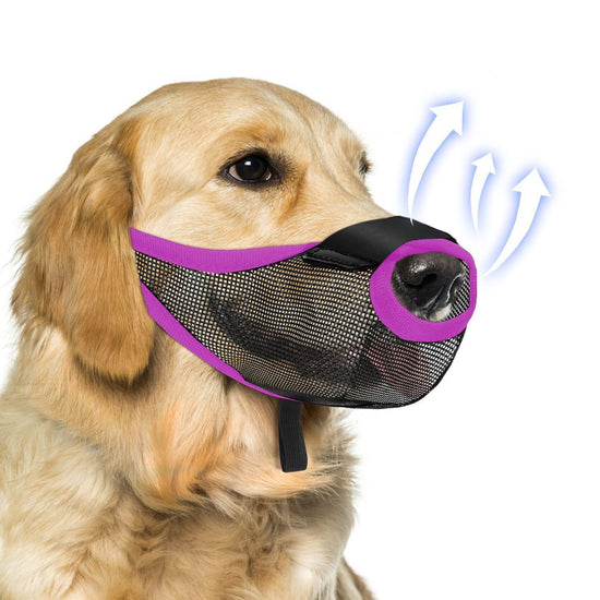 Pet Dog Muzzle Mask To Prevent It From Eating Randomly, Barking, And Biting. It&