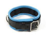 Dog Collar Role Playing Prop