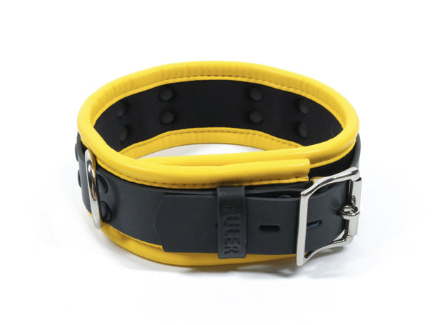 Dog Collar Role Playing Prop